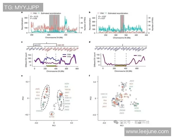 深圳篮球队速度表现分析：数据揭示球队快攻效率与比赛胜负关系