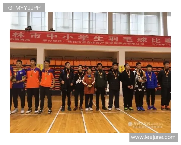 深入分析杭州羽毛球队包夹战术的优势与实施策略